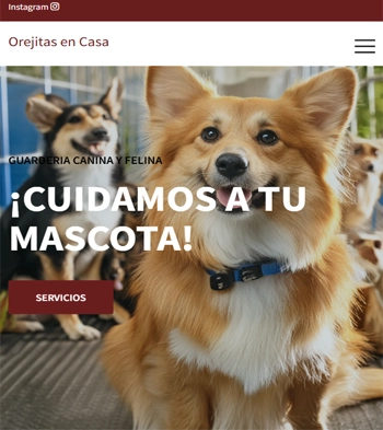 Título 5
